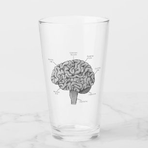 Verre Cerveau Scientifique