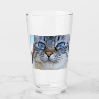 Verre Chat gris