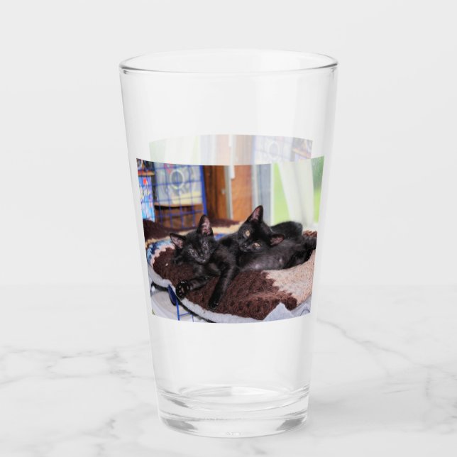 Verre Chatons (Devant)