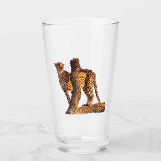 Verre Cheetah