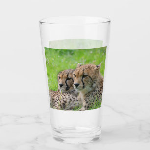 Verre Cheetah 001