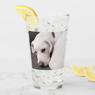 Verre Chien Mixte Labrador Retriever Blanc Paresseux Mig