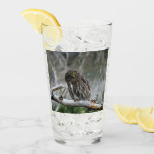 Verre Chouette pygmée du Nord