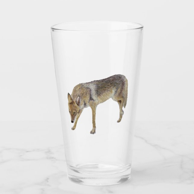 Verre Coyote (Devant)
