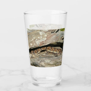 Verre Crotale dans le parc national de Shenandoah