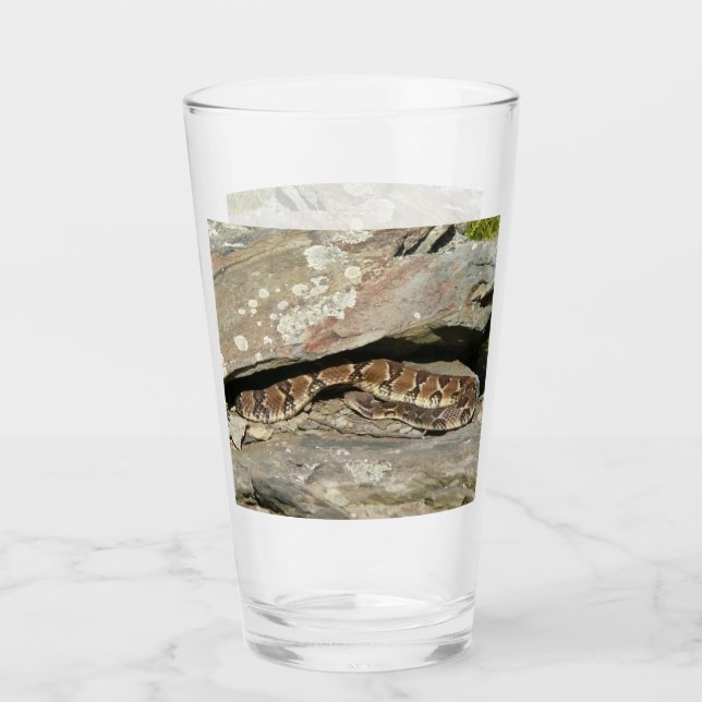 Verre Crotale dans le parc national de Shenandoah (Devant)