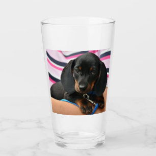 Verre dachshund-puppy mignon