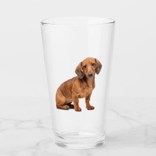Verre Dachshund Vitre animal animal animal animal