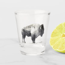 Verre de tir de bison américain