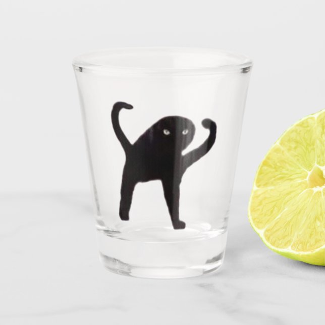 Verre de tir maudit mème de chat (Devant)