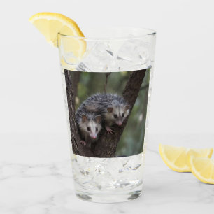 Verre Double difficulté dans la canopée : Sommes jumelle