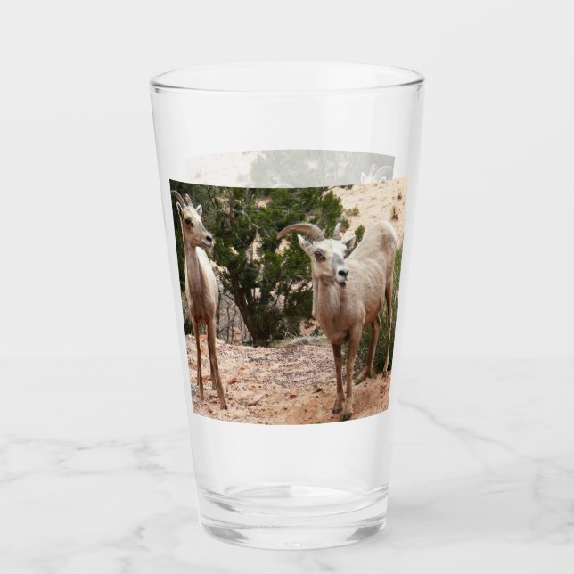 Verre Drôle Mouton de Bighorn dans le parc national Zion (Devant)