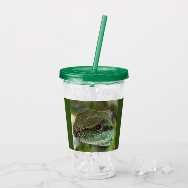 Verre En Acrylique Agama, lézard (Dos glace)