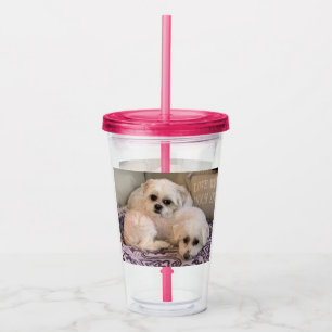 Verre En Acrylique Chiens Blancs Mignons