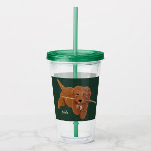 Verre En Acrylique Goldie Golden Doodle