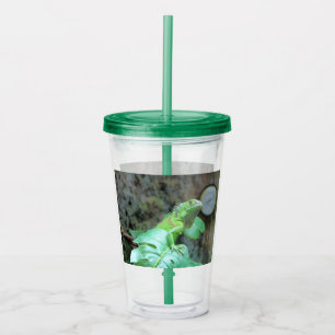 Verre En Acrylique green