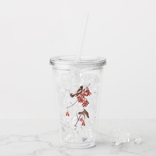 Verre En Acrylique Oiseaux de brume de riz d'Audubon ou oiseaux Bobol (Dos glace)