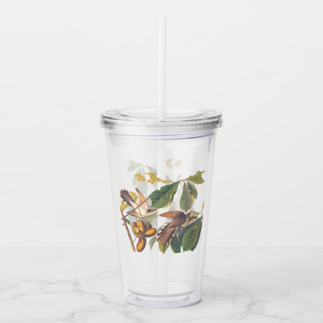 Verre En Acrylique Oiseaux de cacao à bec jaune Audubon dans un arbre (Devant)