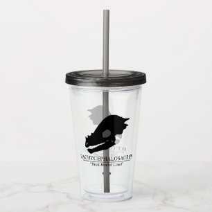 Verre En Acrylique Pachycéphalosaure