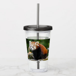 Verre En Acrylique Panda rouge mignonne
