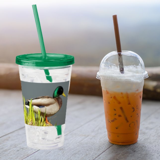 Verre En Acrylique Photo de la faune de Mallard Duck (In Situ)