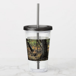 Verre En Acrylique Scène de forêt automnale