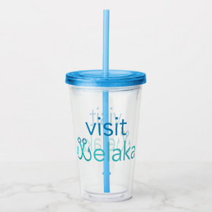 Verre En Acrylique Visitez Welaka Tumbler