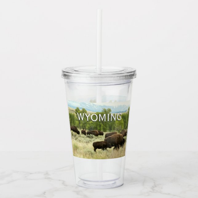 Verre En Acrylique Wyoming Bison Nature Animal Photographie (Devant)
