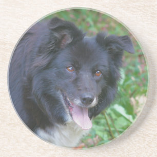 Verre En Grès Bordure souriante Collie Chien Boire Dessous de ve