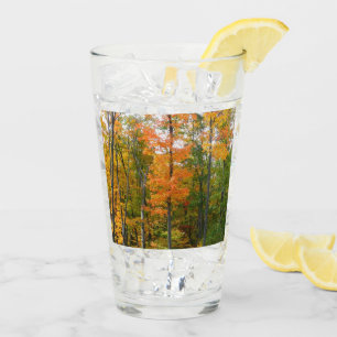 Verre Érables en automne Photographie de la nature