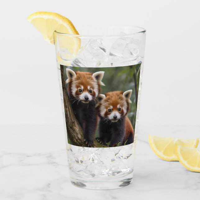 Verre "Explorateurs en haut de l'arbre : Pandas rouge bé (Devant glace)
