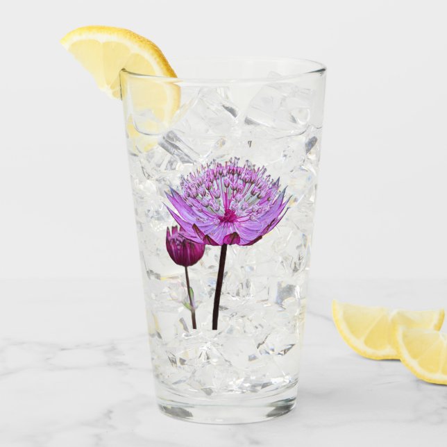 Verre Floral rose Astrantia (Devant glace)