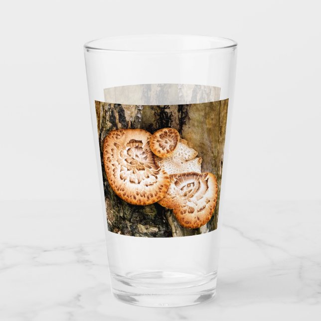 VERRE FUNGI (Devant)