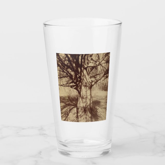 Verre Hêtre (par Eugène Atget) (Devant)