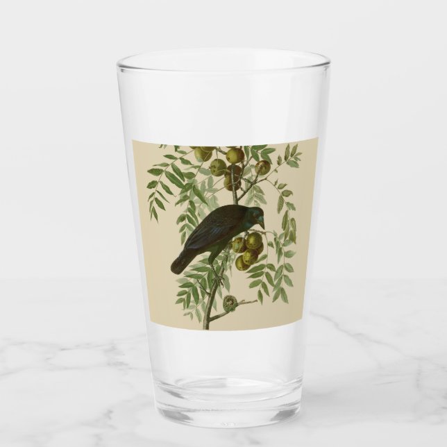 Verre Impression d'oiseau Grackle Violet d'Audubon Botan (Devant)