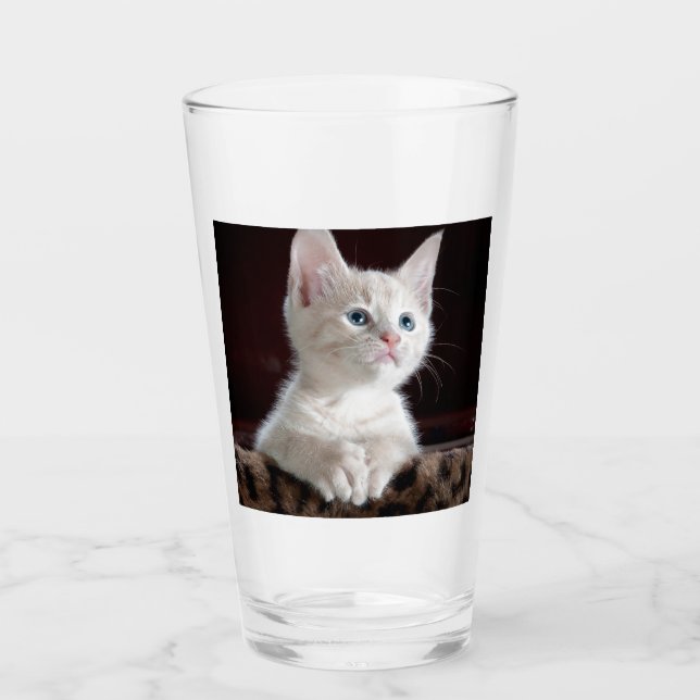 Verre Kitten blanc vulnérable (Devant)