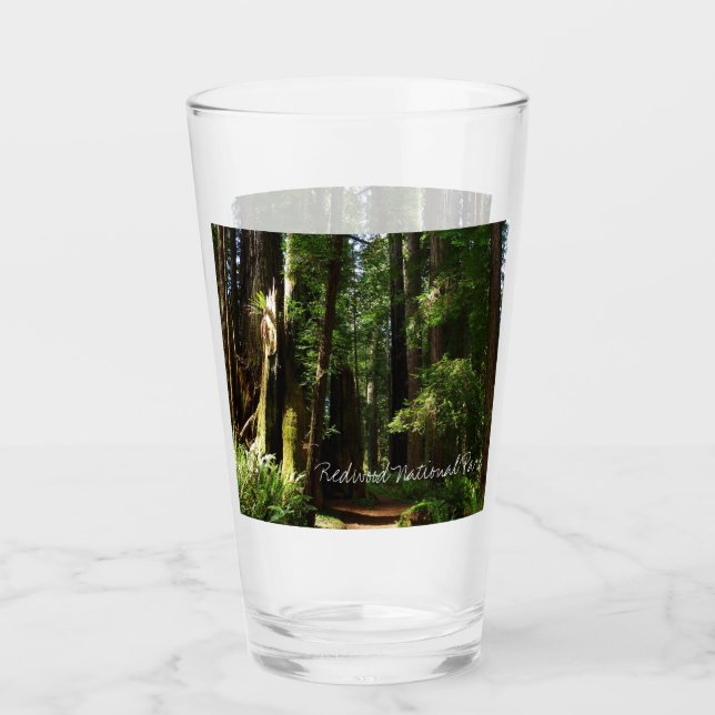 Verre Les séquoias et les fougères du parc national Redw (Devant)