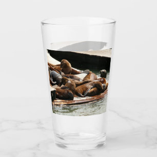 Verre Lions de mer au soleil à San Francisco