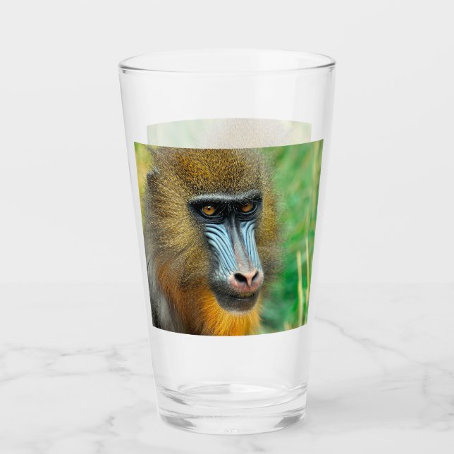 Verre Mandrill 002 (Devant)