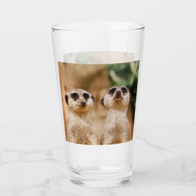 Verre Meerkat 017 (Devant)