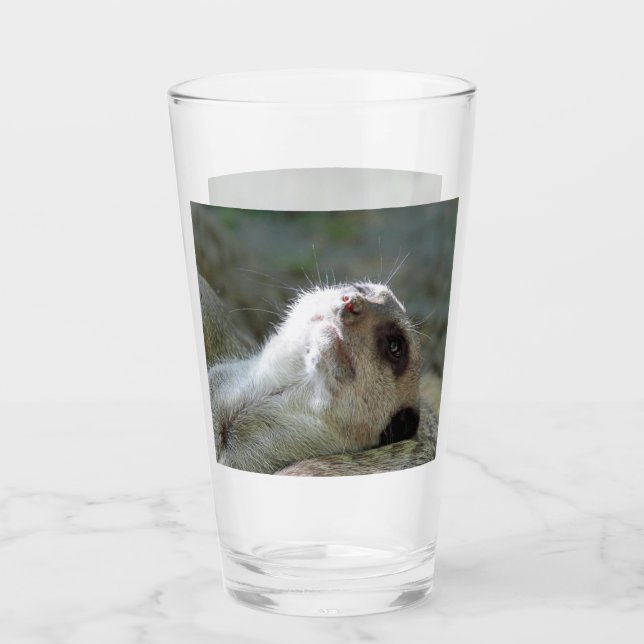 Verre Meerkat 024 (Devant)