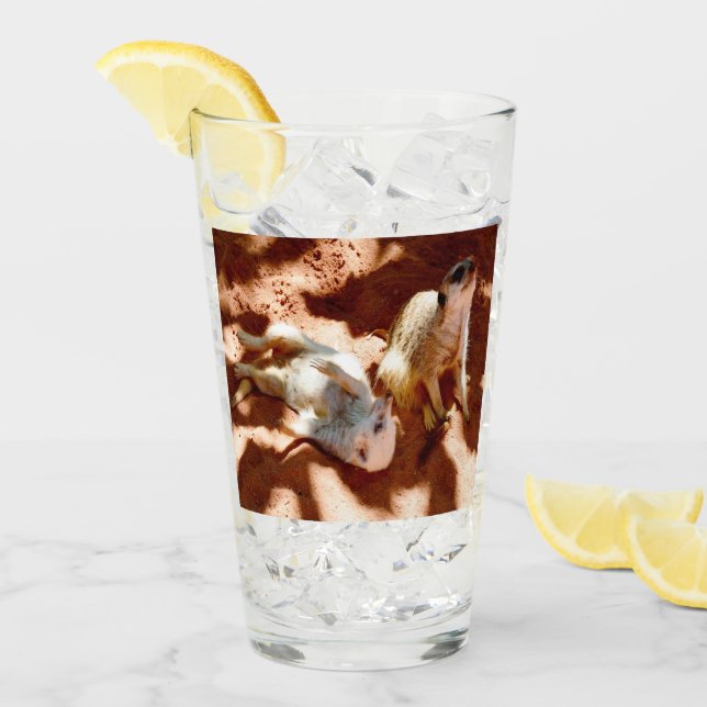 Verre Meerkat Play Day, (Devant glace)