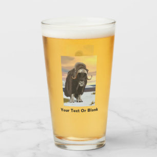 Verre Muskox