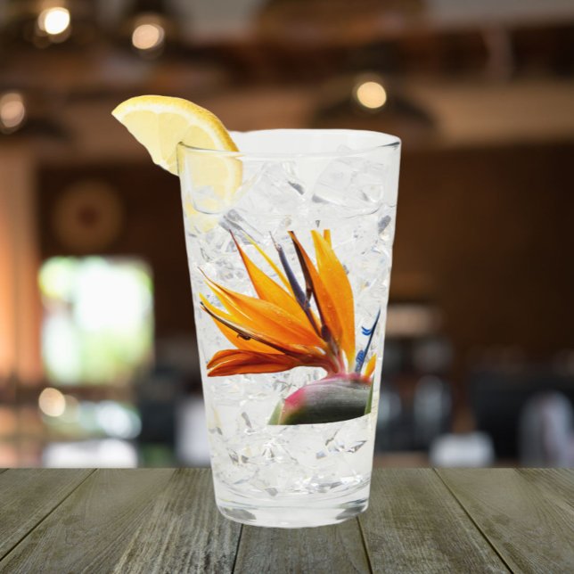 Verre Oiseau tropical du Paradis Plante Floral (In Situ)