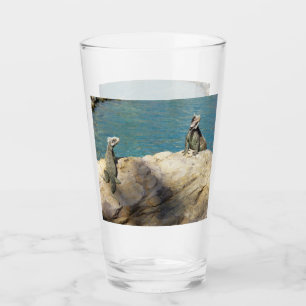 Verre Paire d'Iguanes Photographie de faune tropicale