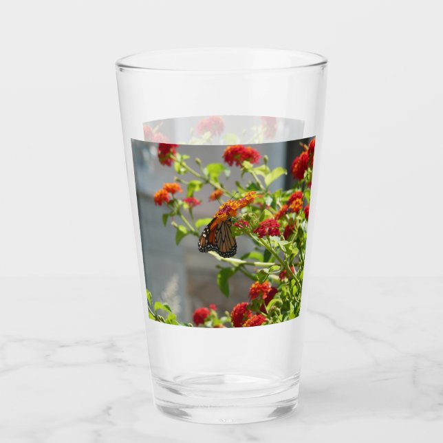 Verre Papillon monarque sur le papillon rouge Bush (Devant)