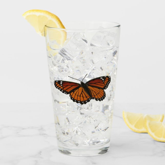 Verre Papillon Viceroy Belle photographie de la nature (Devant glace)