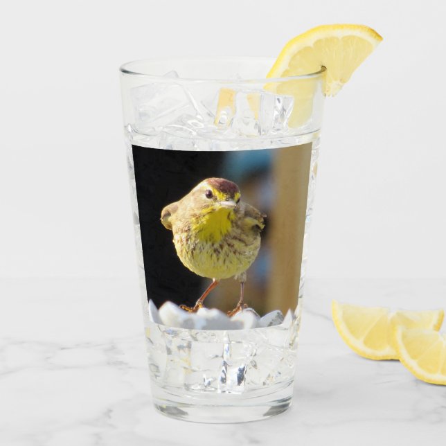 Verre Paruline de palme - Série d'oiseaux Jardins - Verr (Dos glace)