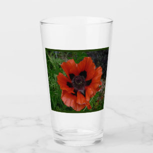 Verre Pavot oriental