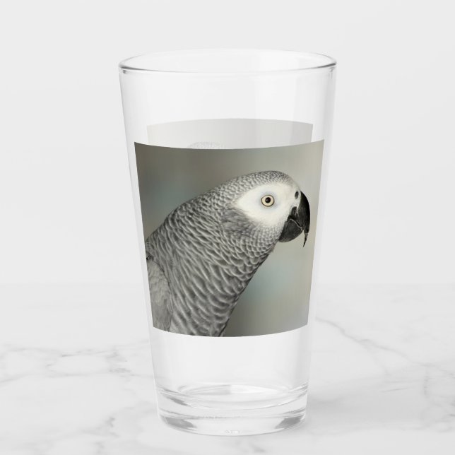Verre Perroquet gris d'Afrique (Devant)